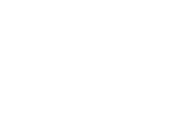 YETI-LOGO_TRANSPARENT