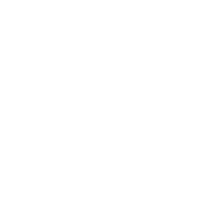 DAMPFLION_LOGO_WHITE_TRANSPARENT