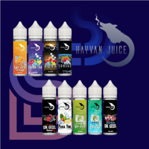 Hayvan Juice_STEAM DREAM