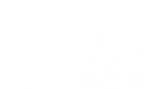 Smoking Bull_Logo_weiss_Steam Dream 