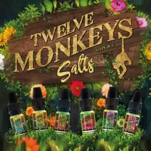 Twelve Monkeys Nic Salt_STEAM DREAM