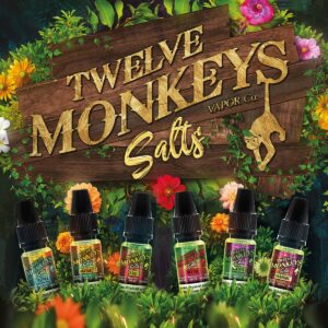 Twelve Monkeys Nic Salt_STEAM DREAM