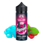 samurai-vaping-nagasaki-1