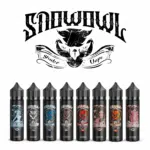 STEAM DREAM_SnowOwl