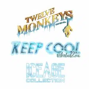 STEAM DREAM_Twelve Monkeys Shortfill