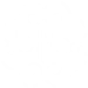 DOTMOD LOGO