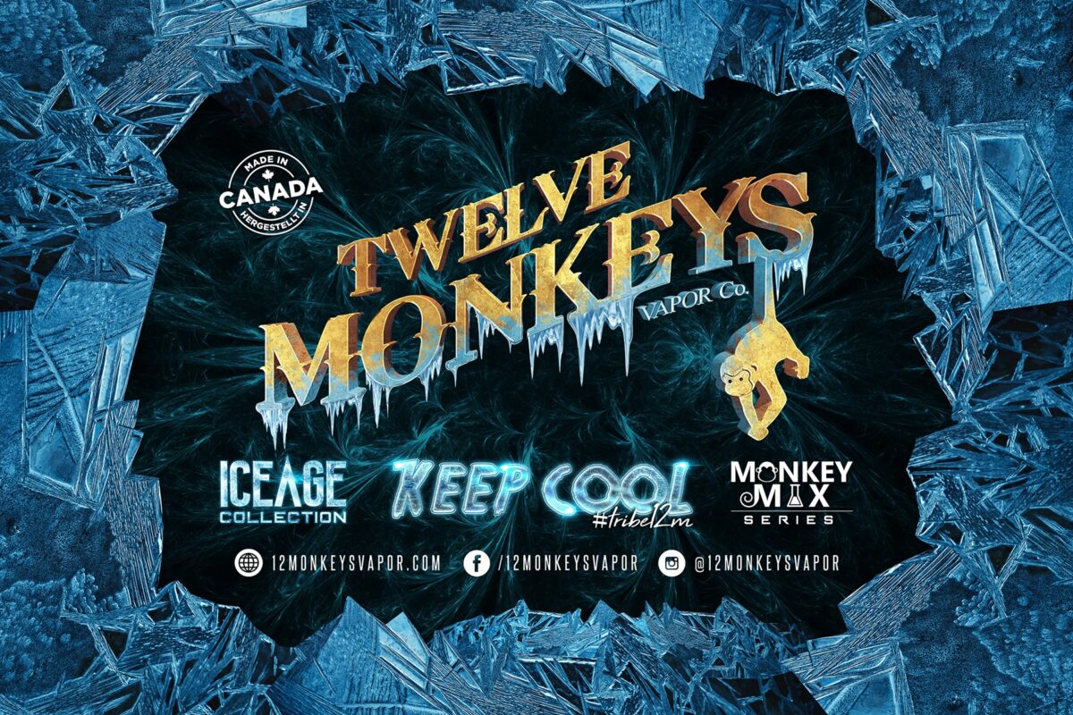 12 MONKEYS | SHORTFILL 60 ML | 50 ML E-LIQUID – BILD 2