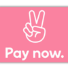 klarna-pay-now