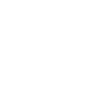 SUICIDE MODS LOGO WEISS TRANSPARENT