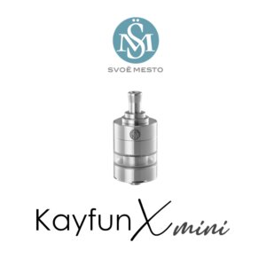 steam dream_svoe mesto kayfun x mini rta