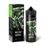 Melonberry_Dampflion_intenseLongfill