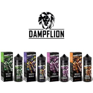STEAM DREAM_Dampflion Intense_Longfill_1200x1200