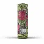 dino V2_odb
