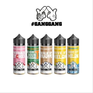 steam dream_ganggang_longfill_vovan